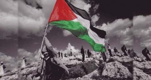 فلسطين-في-السينما-المصرية