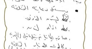 64254162_176608973344972_2333536661985558528_n