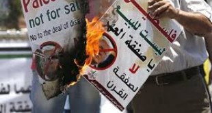 b07be9db50ec744e982a5f1fbb99a1e4-1