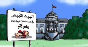 79967555_2239537282816432_3725421578482089984_n