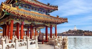 محمد-عبد--730x438